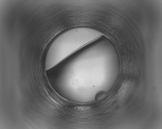 X0000057040251200509090824