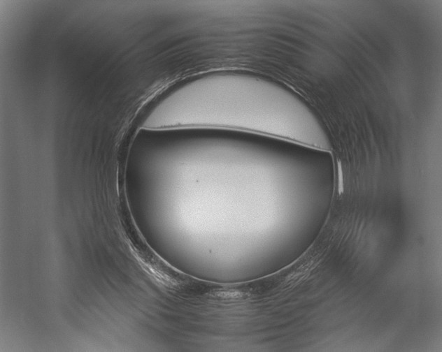 X0000057040253200509090824