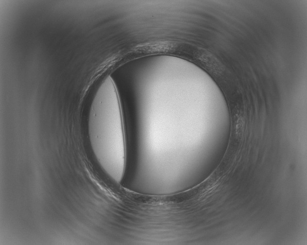 X0000057040254200509090824