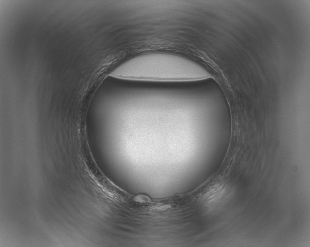 X0000057040257200509090824