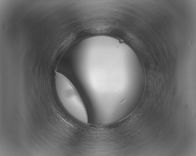 X0000057040258200509090824