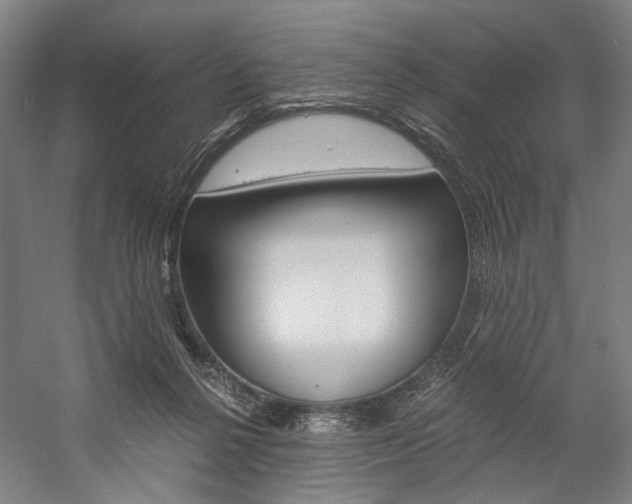 X0000057040264200509090824