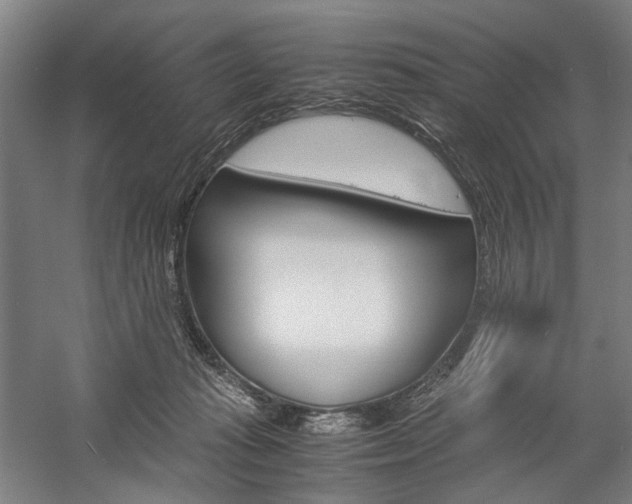 X0000057040269200509090824