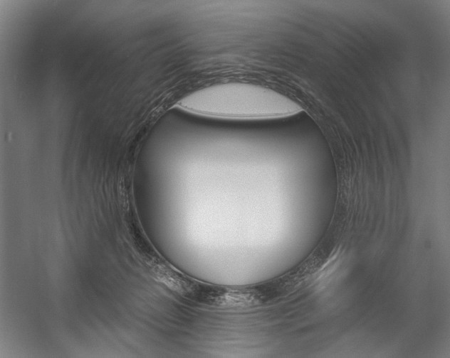 X0000057040270200509090824