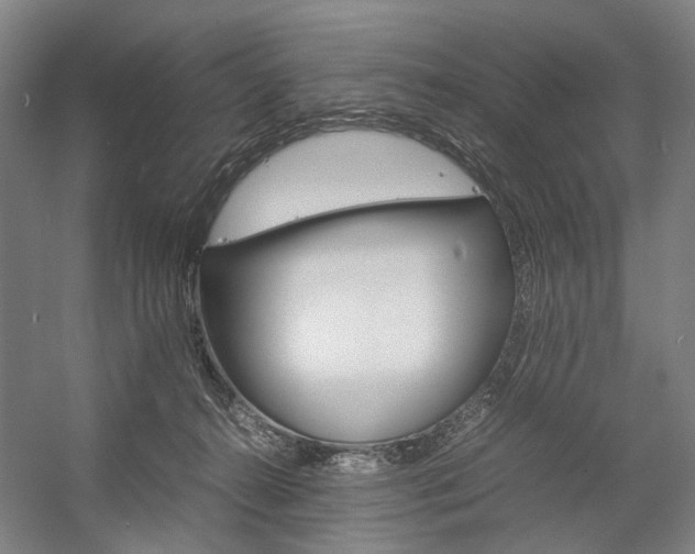 X0000057040272200509090824