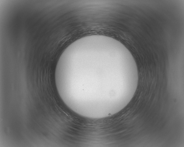 X0000057040276200509090824
