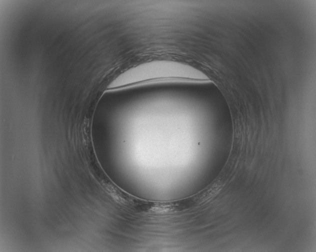 X0000057040280200509090824