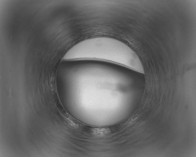 X0000057040281200509090824