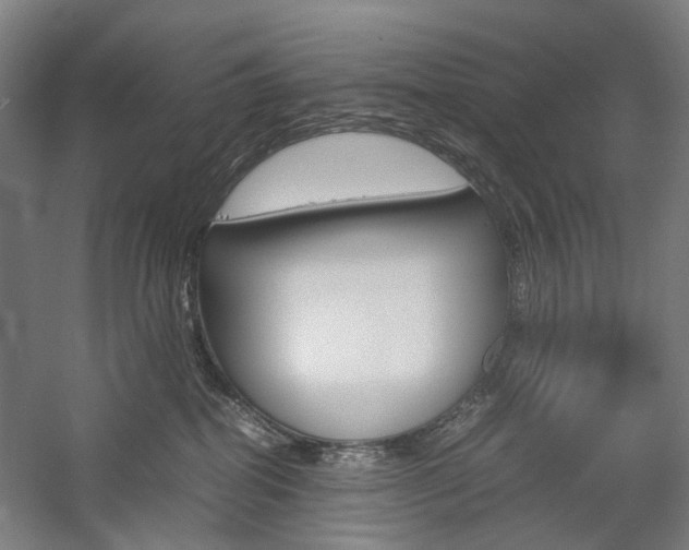 X0000057040282200509090824