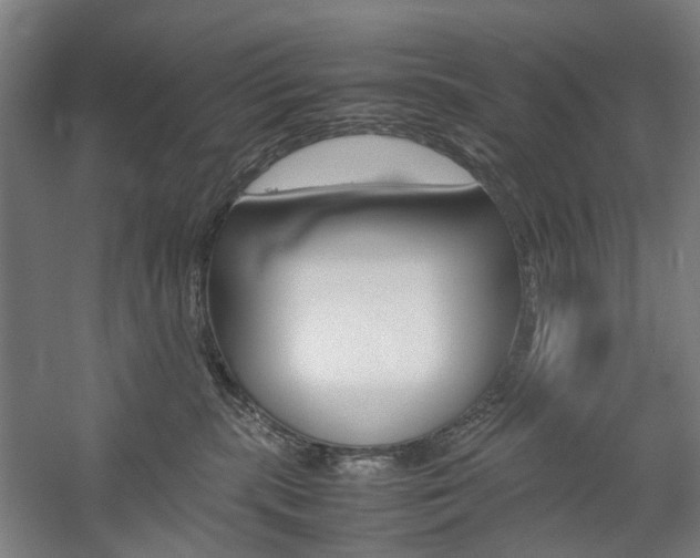 X0000057040283200509090824