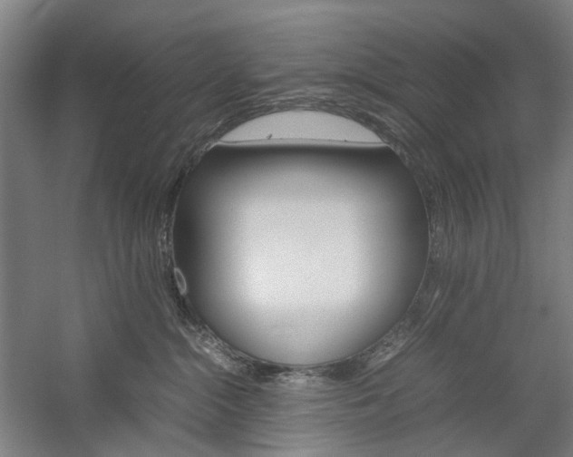 X0000057040284200509090824