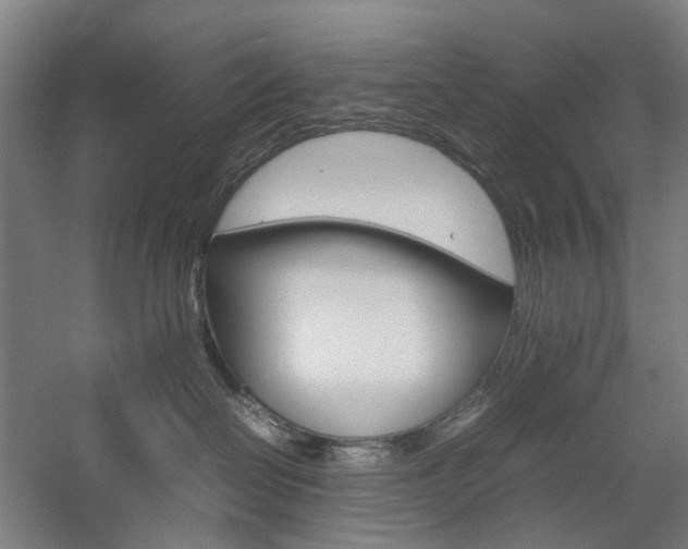 X0000057040286200509090824