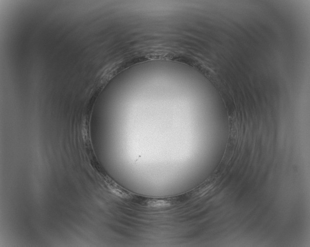 X0000057040287200509090824