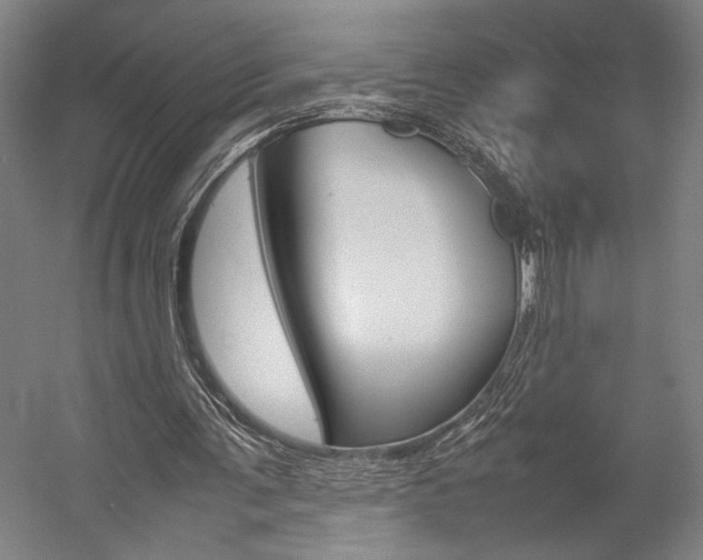 X0000057040291200509090823