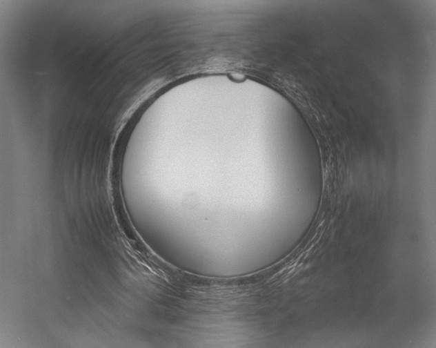 X0000057040292200509090823