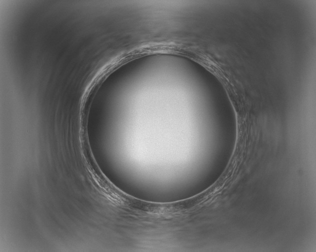 X0000057040293200509090823