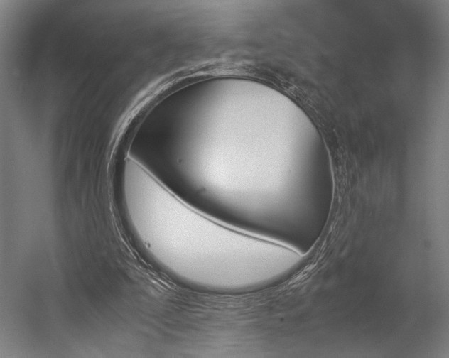X0000057040295200509090823