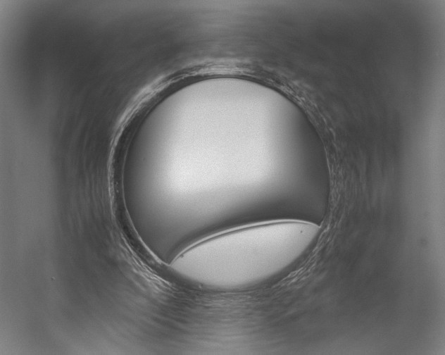 X0000057040296200509090823