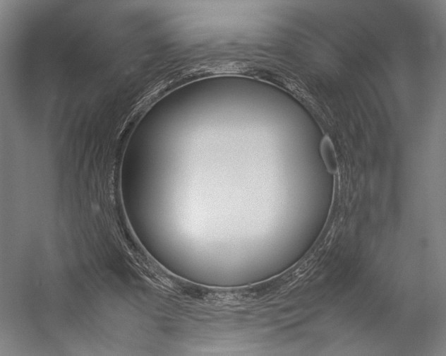 X0000057040297200509090823