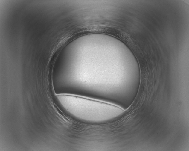 X0000057040299200509090823