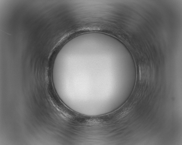 X0000057040300200509090823