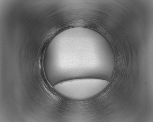X0000057040302200509090823