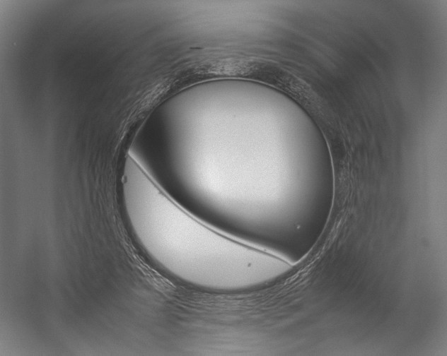 X0000057040305200509090823