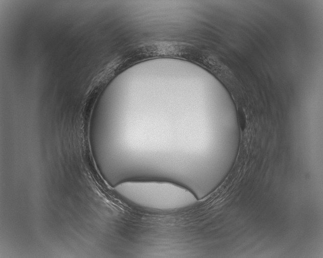 X0000057040306200509090823