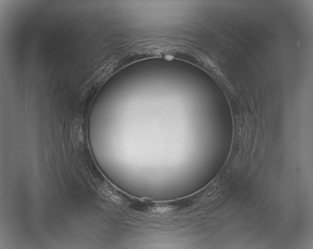 X0000057040313200509090823