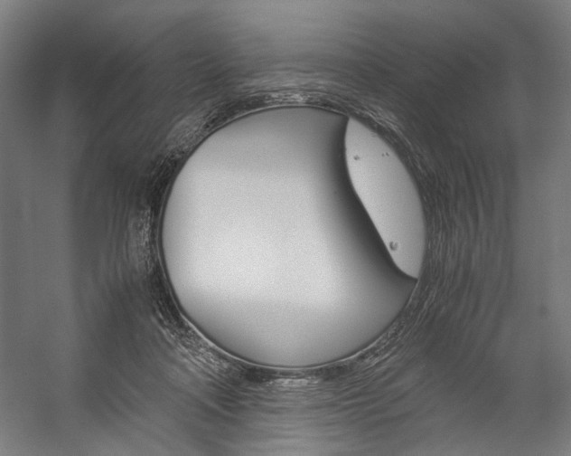 X0000057040314200509090823