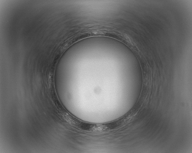 X0000057040321200509090823