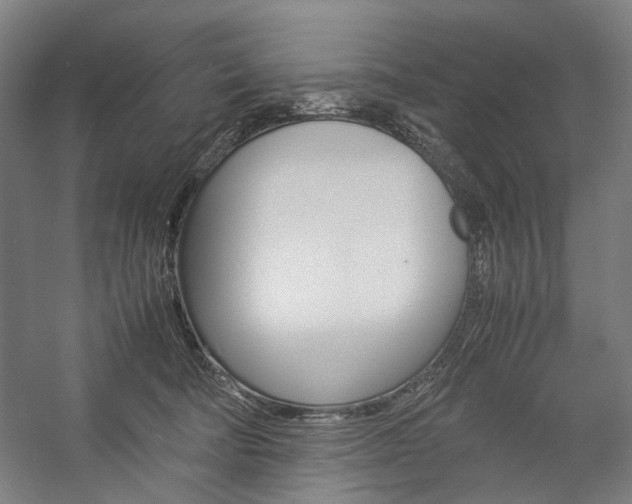 X0000057040322200509090823