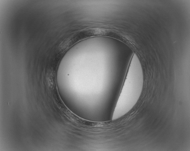 X0000057040325200509090823