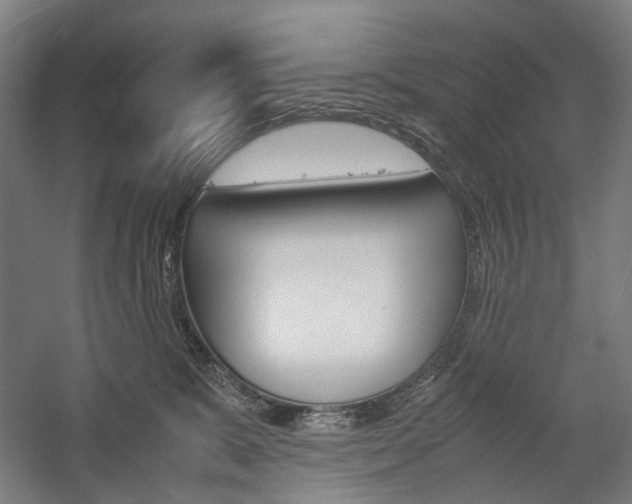 X0000057040327200509090823