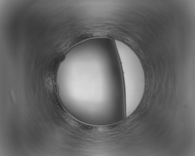 X0000057040329200509090823