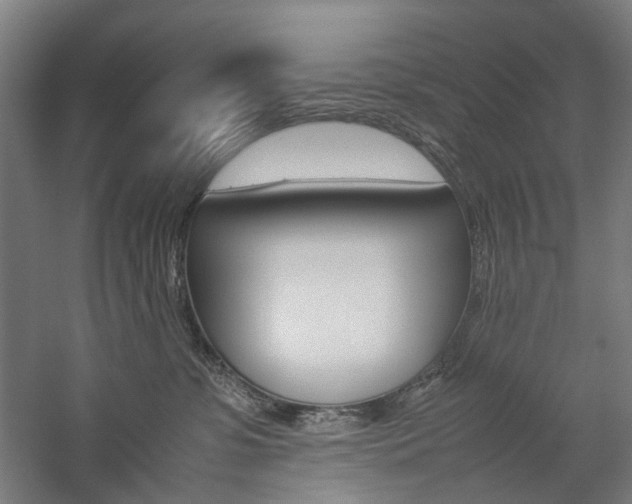 X0000057040331200509090823