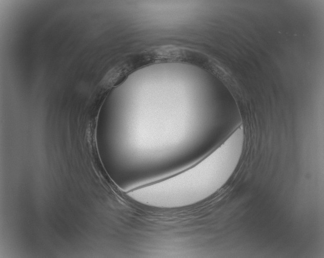 X0000057040333200509090823