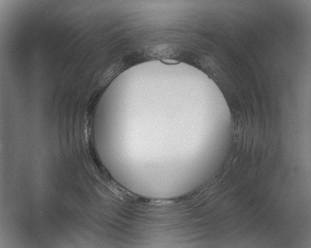 X0000057040334200509090823