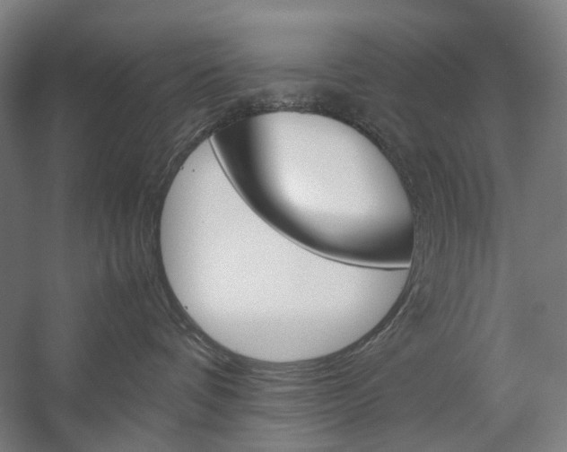 X0000057040336200509090823