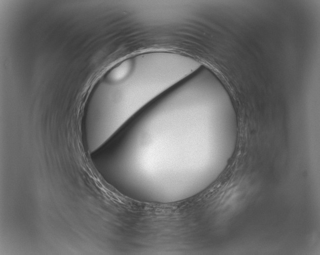 X0000057040337200509090822