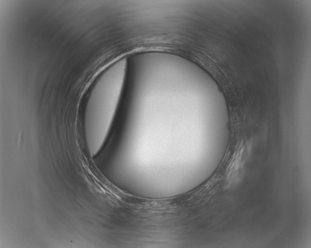 X0000057040338200509090822