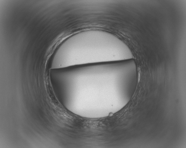 X0000057040339200509090822
