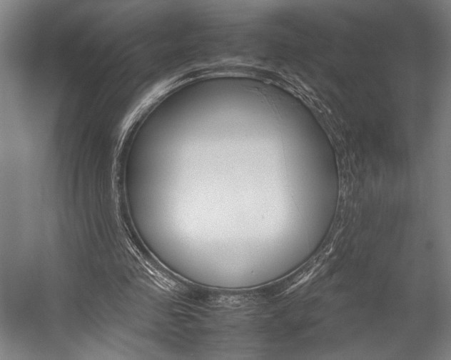 X0000057040341200509090822