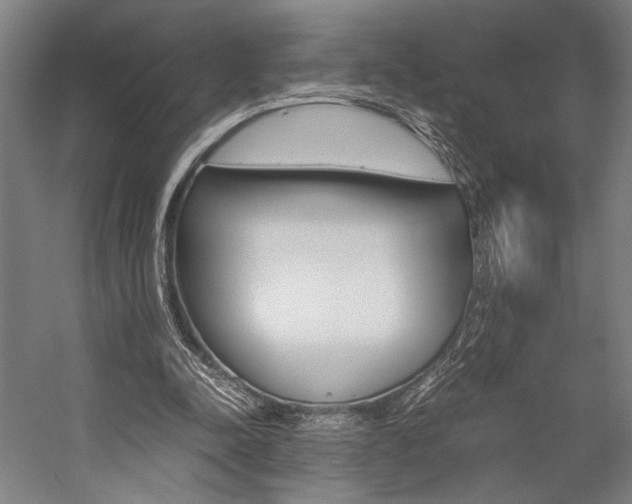 X0000057040342200509090822