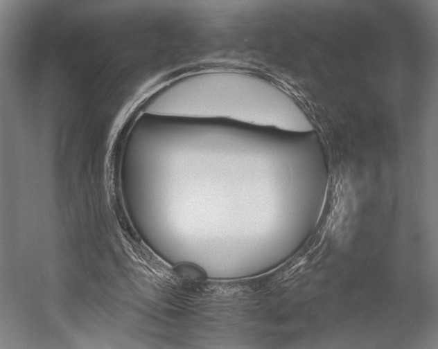 X0000057040343200509090822