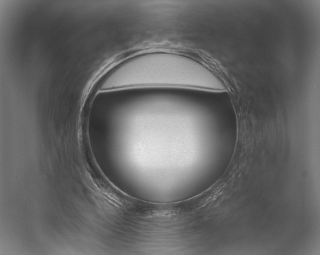 X0000057040344200509090822