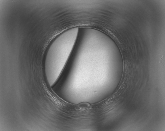 X0000057040345200509090822