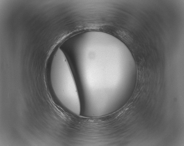 X0000057040346200509090822