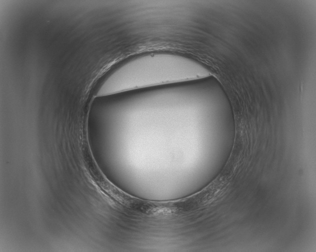 X0000057040352200509090822