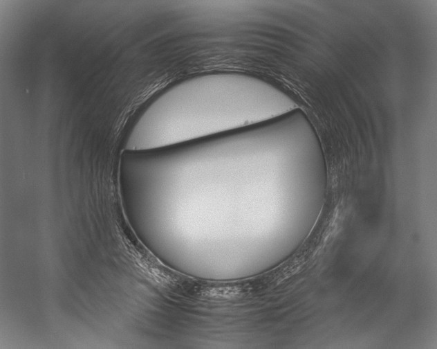 X0000057040353200509090822